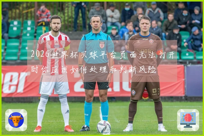 2026世界杯买球平台页面无法打开时你应该如何处理和判断风险