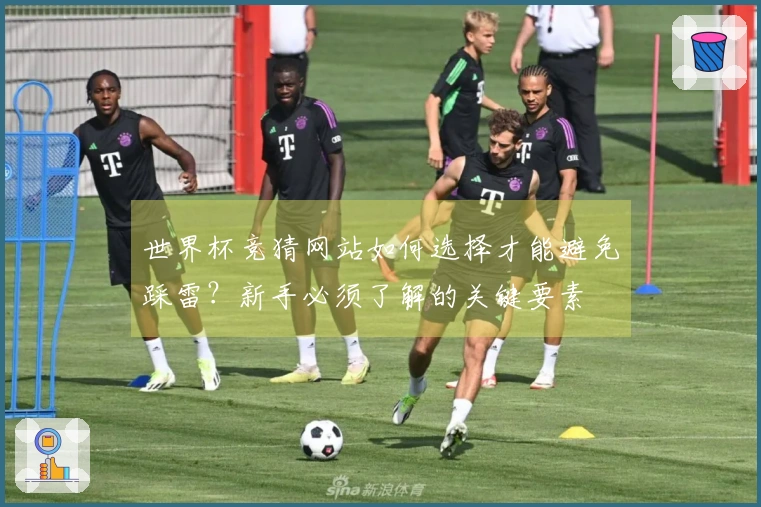世界杯竞猜网站如何选择才能避免踩雷？新手必须了解的关键要素