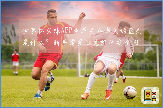 世界杯买球APP中单关和串关的区别是什么？新手需要注意哪些安全问题？