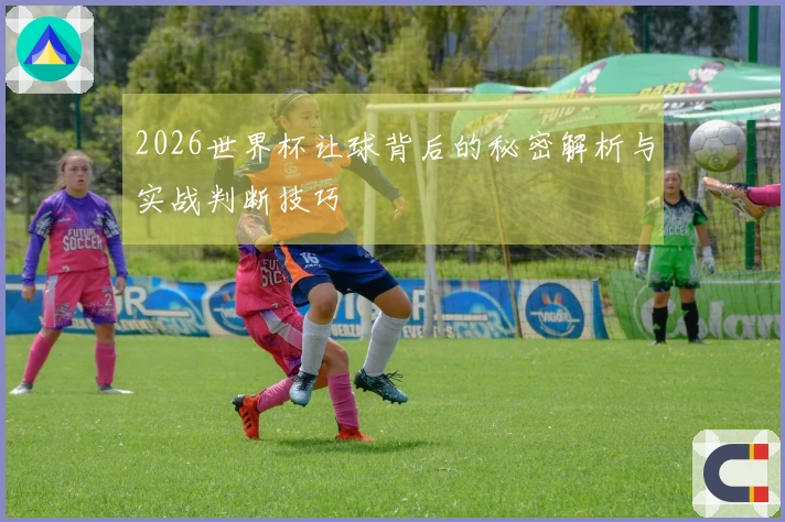2026世界杯让球背后的秘密解析与实战判断技巧