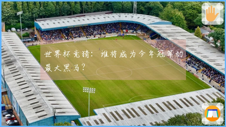 世界杯竞猜：谁将成为今年冠军的最大黑马？