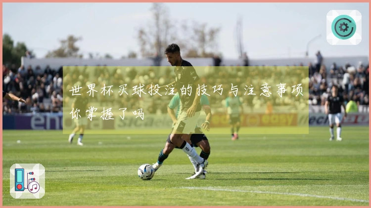 世界杯买球投注的技巧与注意事项你掌握了吗