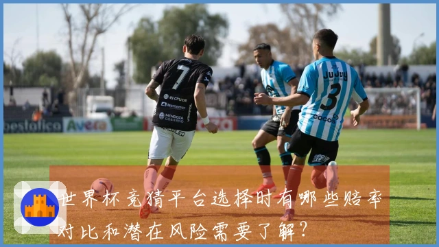 世界杯竞猜平台选择时有哪些赔率对比和潜在风险需要了解？
